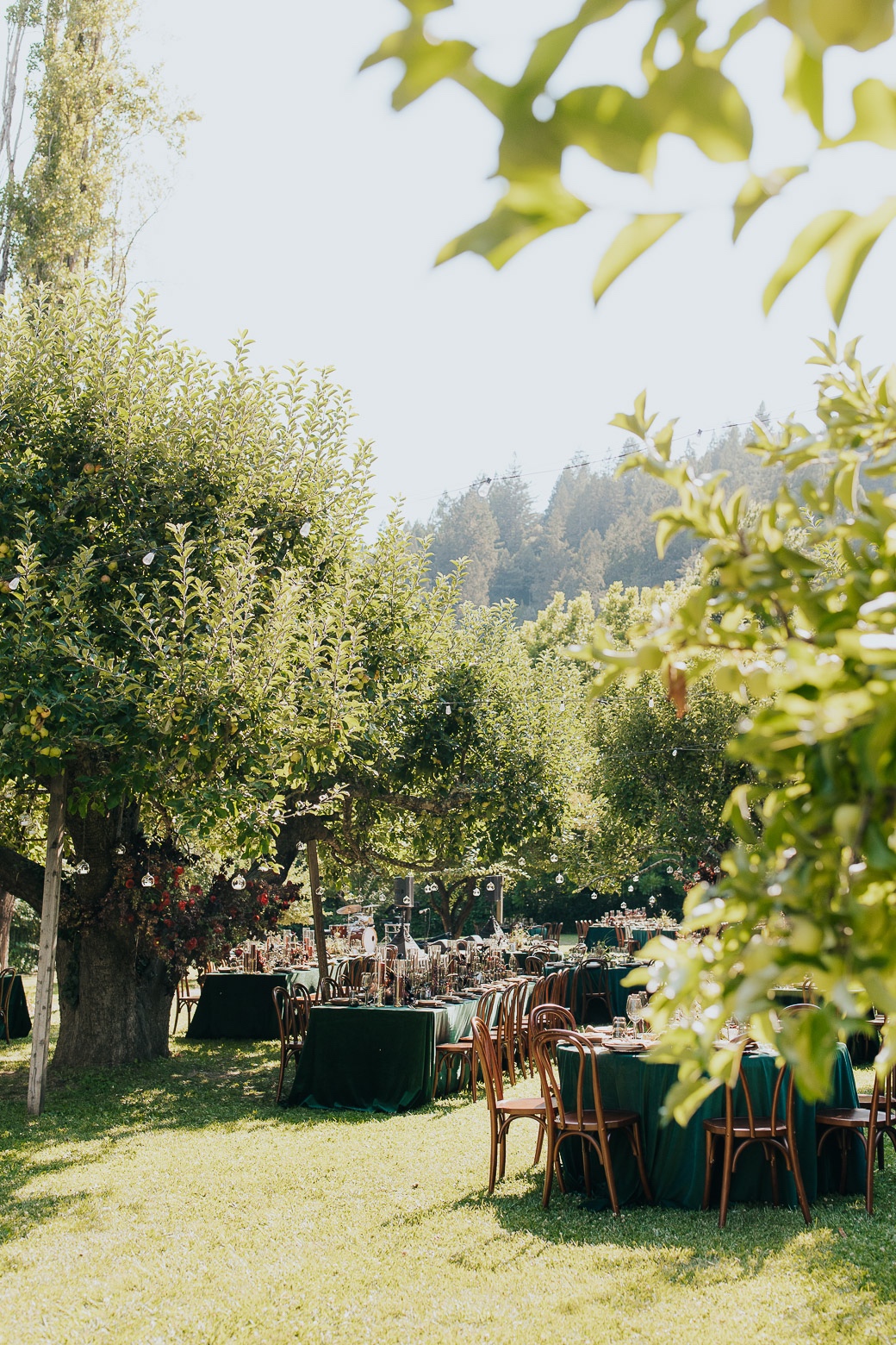 green ranch wedding