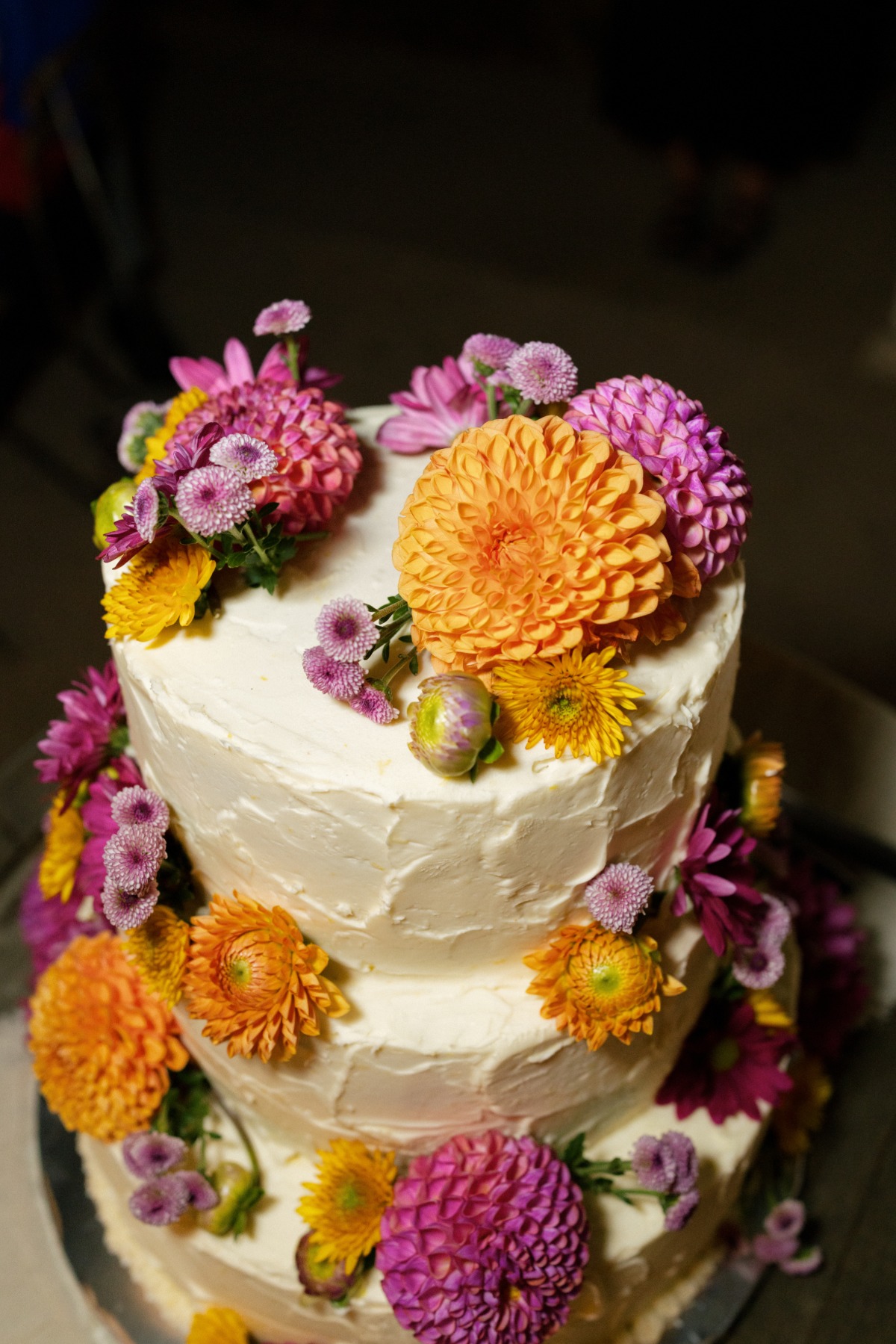 sophie-and-austin-mandee-johnson-photography-137